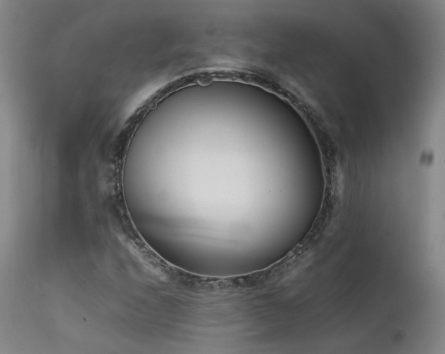 X0000111501208200907141304