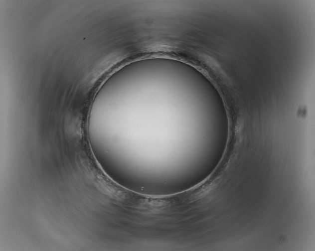 X0000111501209200907141304