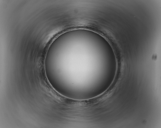 X0000111501210200907141304