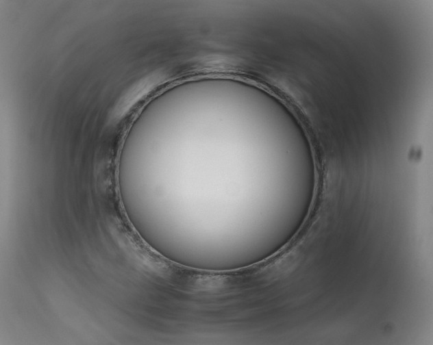 X0000111501211200907141304