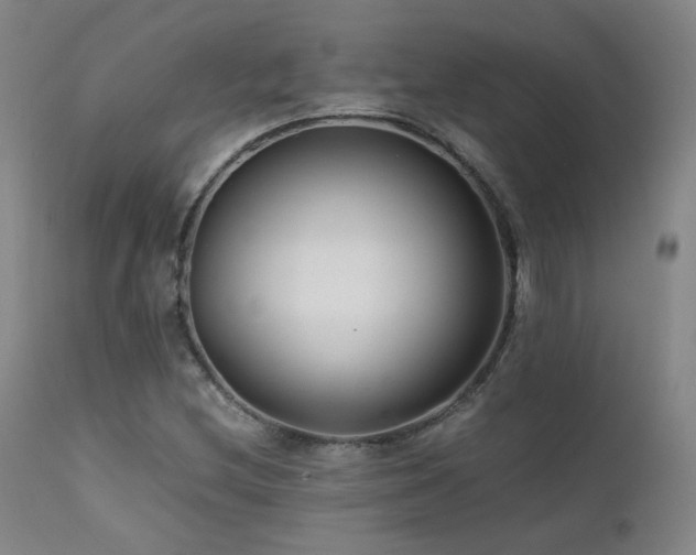 X0000111501212200907141304