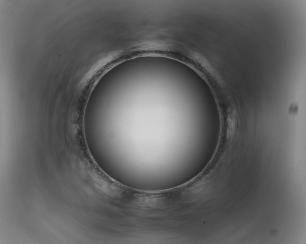 X0000111501213200907141304