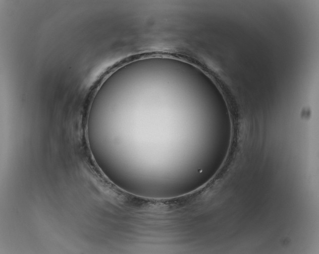 X0000111501214200907141304