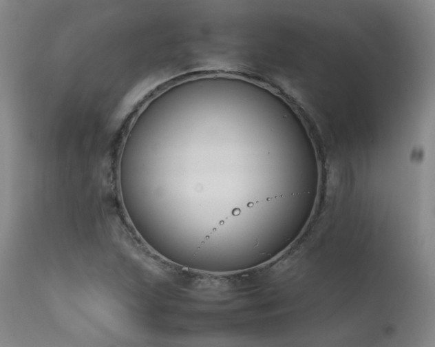 X0000111501215200907141304