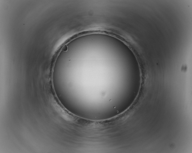 X0000111501216200907141304