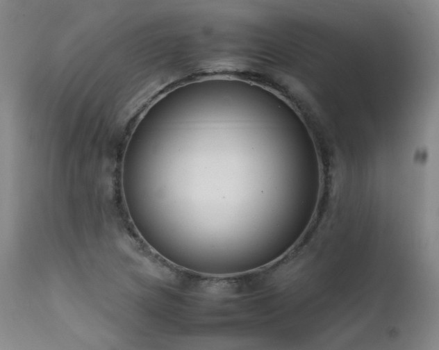 X0000111501217200907141304