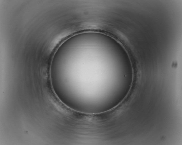 X0000111501218200907141304
