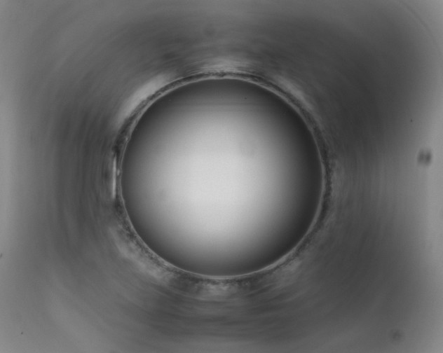 X0000111501219200907141304