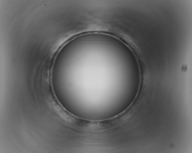 X0000111501220200907141304