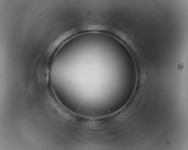 X0000111501221200907141304
