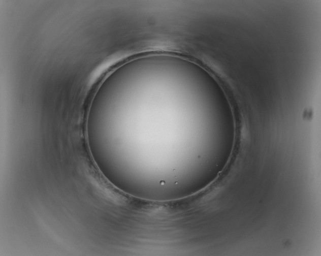 X0000111501222200907141304