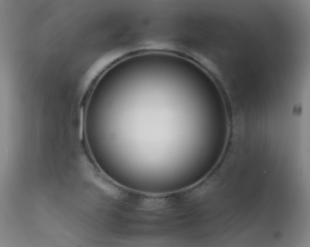 X0000111501223200907141304