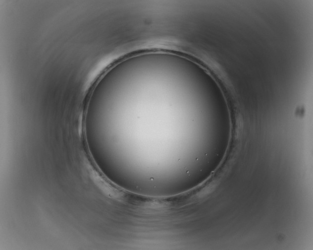 X0000111501224200907141304