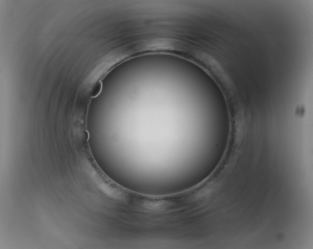 X0000111501225200907141304