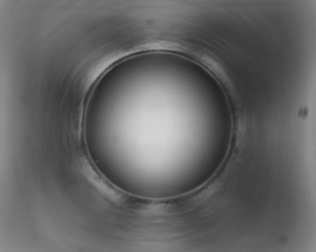 X0000111501228200907141304