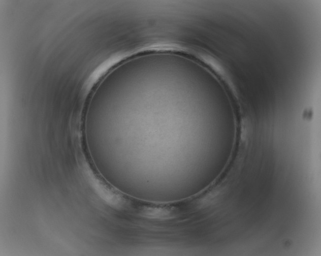 X0000111501229200907141304