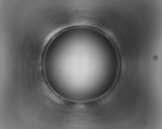 X0000111501230200907141304