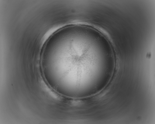 X0000111501231200907141304