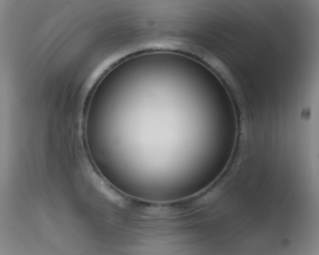 X0000111501232200907141304
