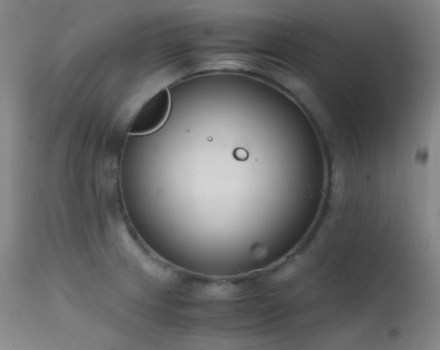 X0000111501233200907141304