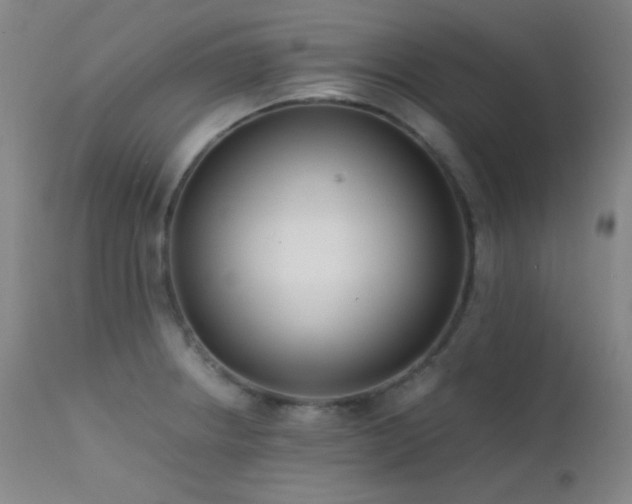 X0000111501234200907141304