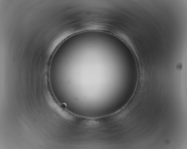 X0000111501235200907141304