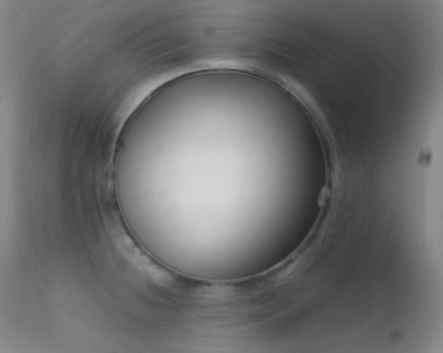 X0000111501236200907141304