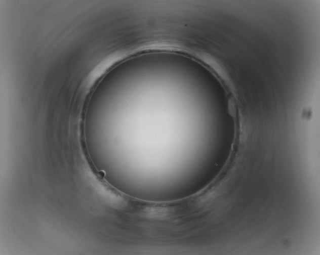 X0000111501237200907141304