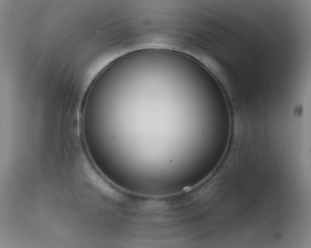 X0000111501238200907141304