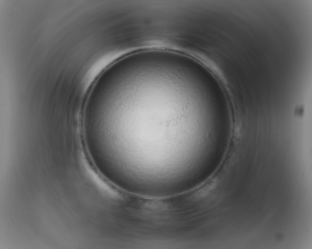 X0000111501239200907141304