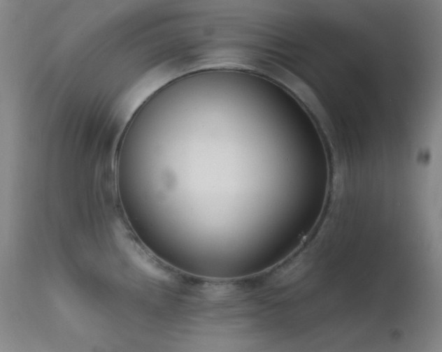 X0000111501242200907141305