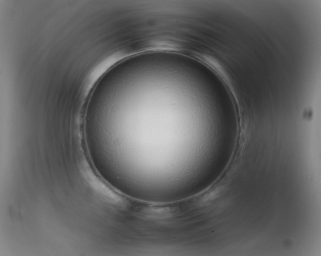 X0000111501243200907141305