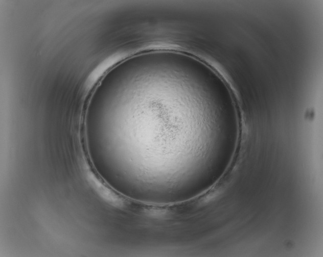 X0000111501245200907141305