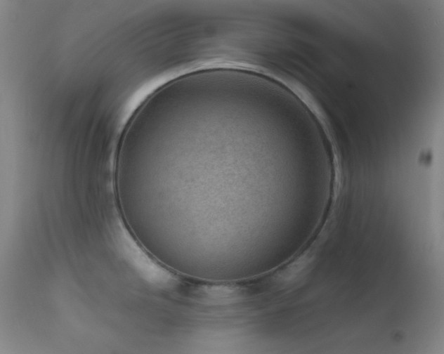 X0000111501246200907141305