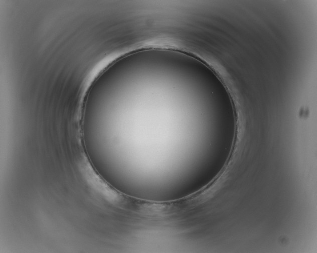 X0000111501248200907141305