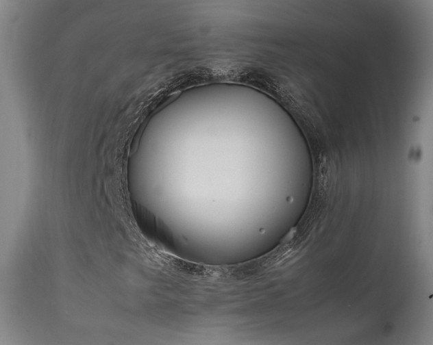 X0000111501249200907141304