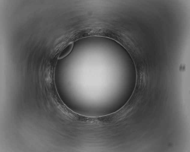 X0000111501250200907141304