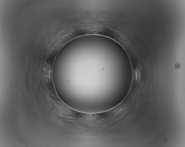 X0000111501251200907141304