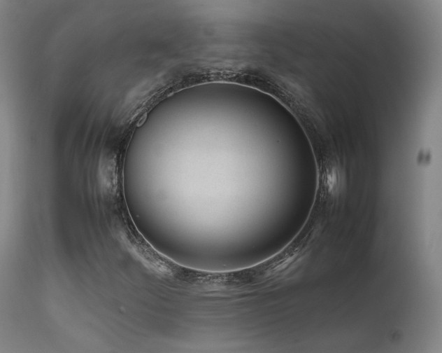 X0000111501252200907141304