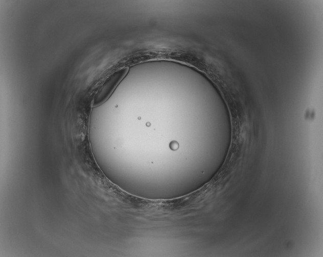 X0000111501253200907141304