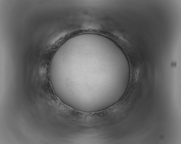 X0000111501254200907141304