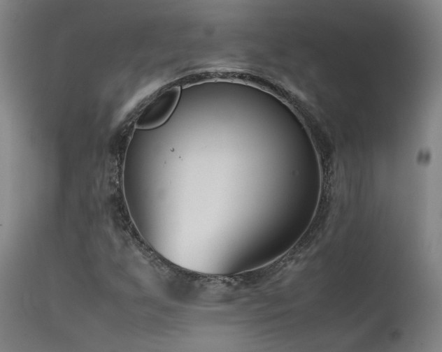 X0000111501255200907141304