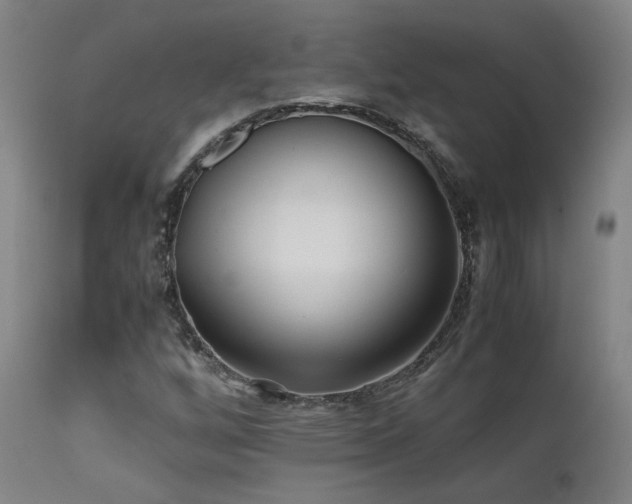 X0000111501256200907141304
