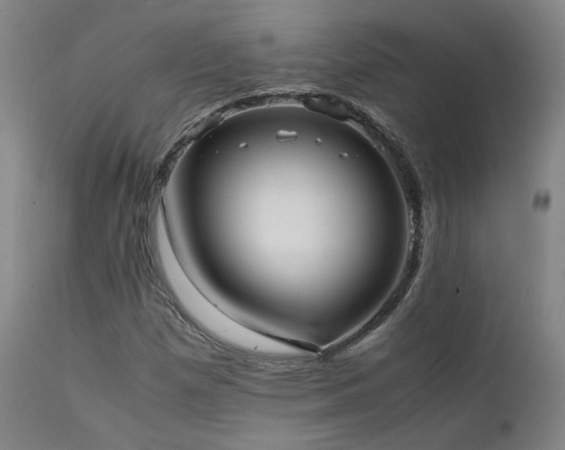 X0000111501257200907141304