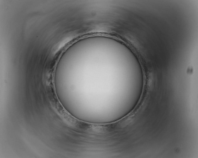X0000111501258200907141304