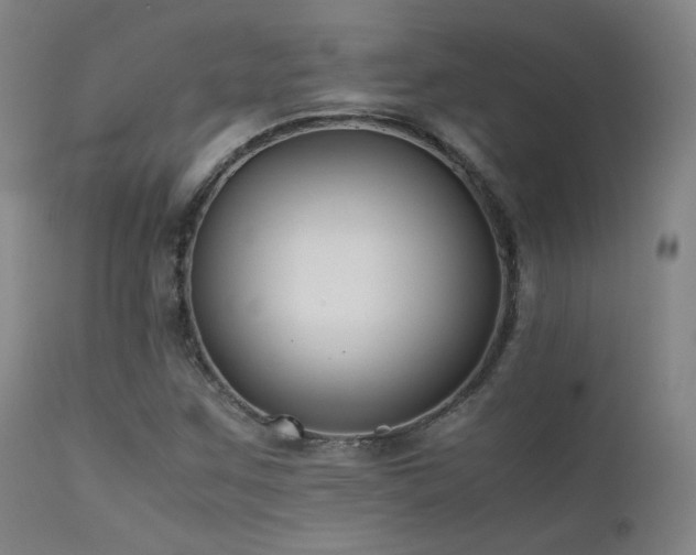 X0000111501259200907141304