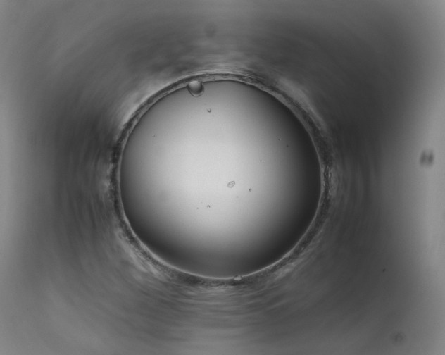 X0000111501260200907141304