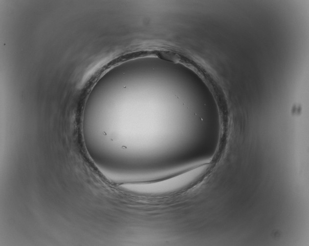 X0000111501261200907141304