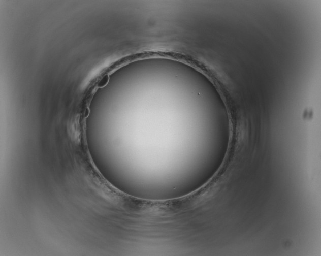 X0000111501262200907141304