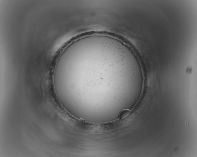 X0000111501263200907141304